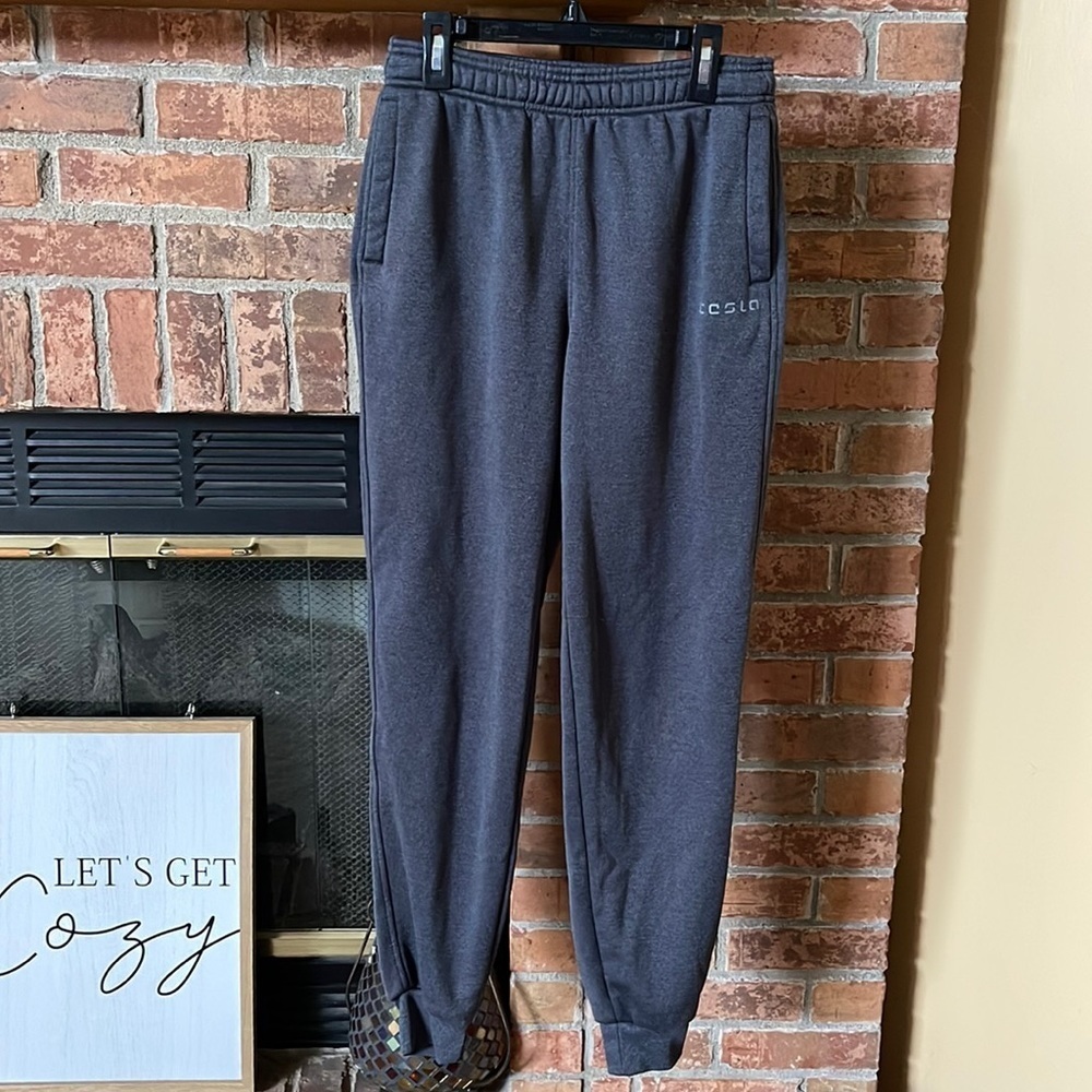Tesla Gray Joggers